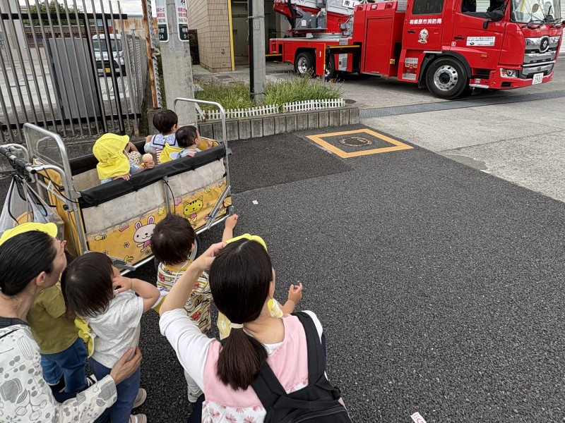 5月の様子